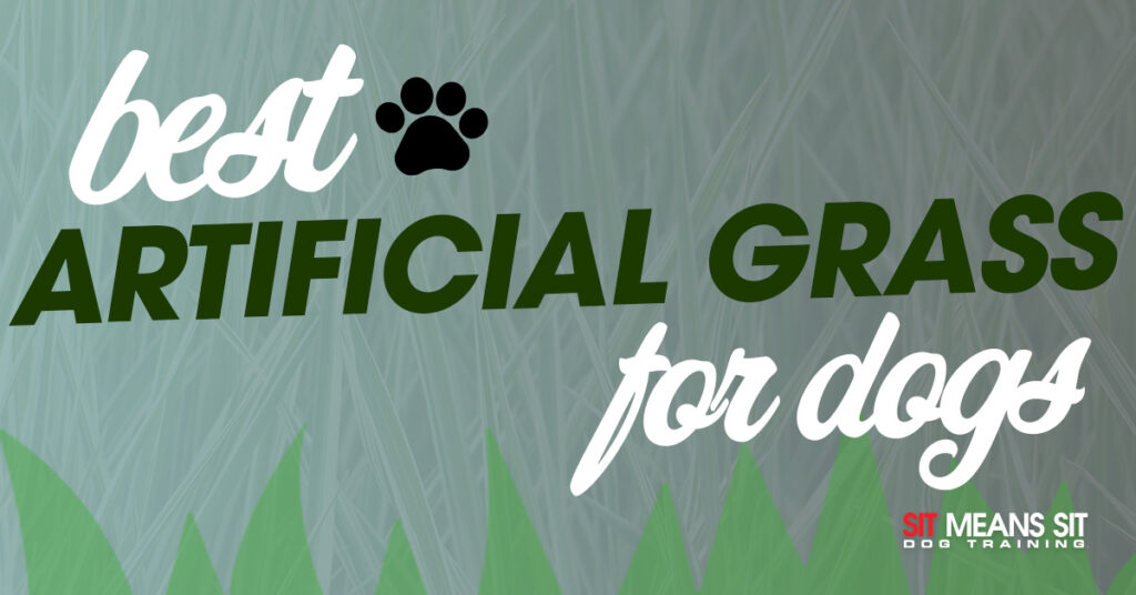Best Artificial Grass for Dogs