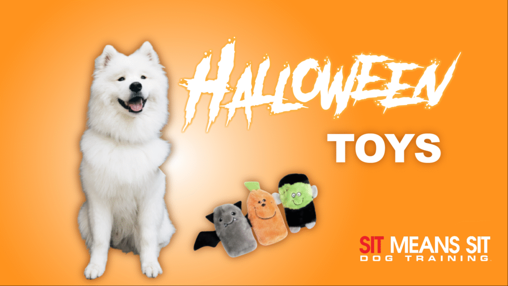 A white dog smiling with the text Halloween toys poster