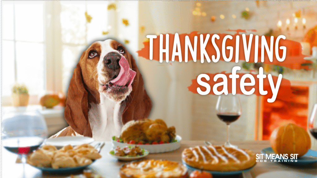 A dog at the thanksgiving table with the text thanksgiving safety poster